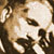 Sir Muhammed Iqbal