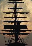 Captain Cur