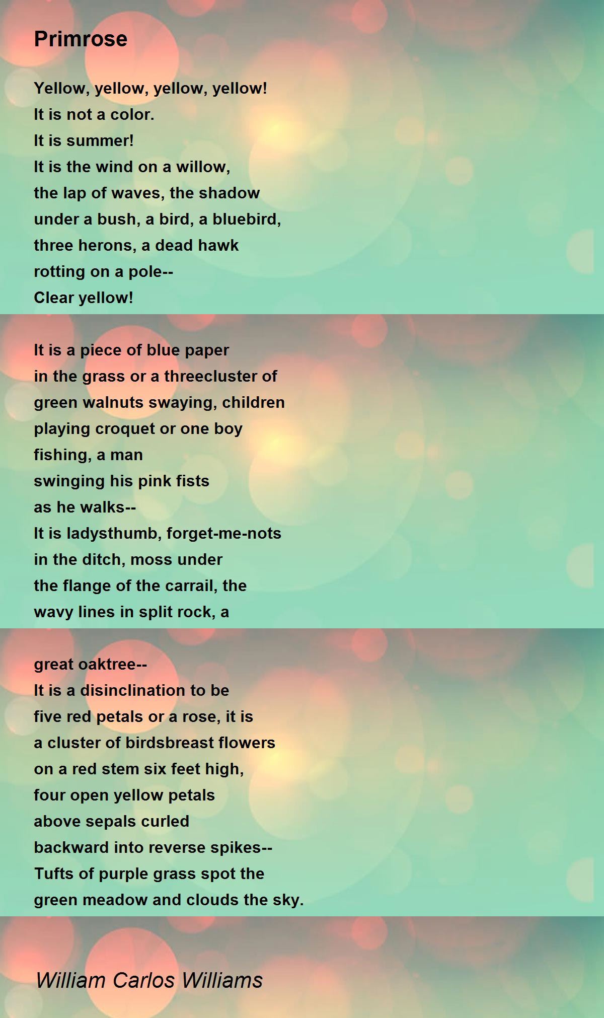 Primrose Poem by William Carlos Williams Poem Hunter