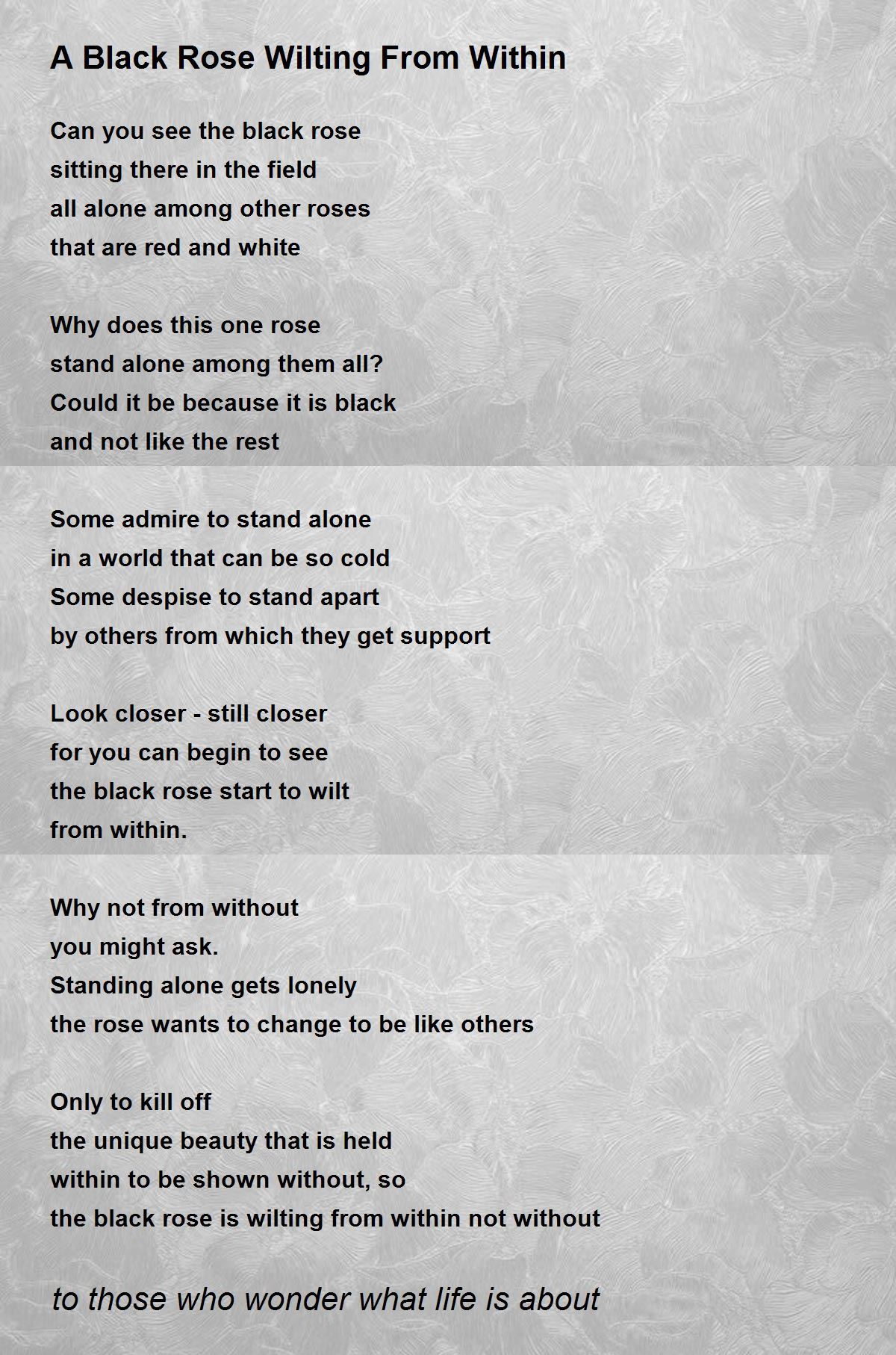 A Black Rose Wilting From Within Poem by to those who wonder what life
