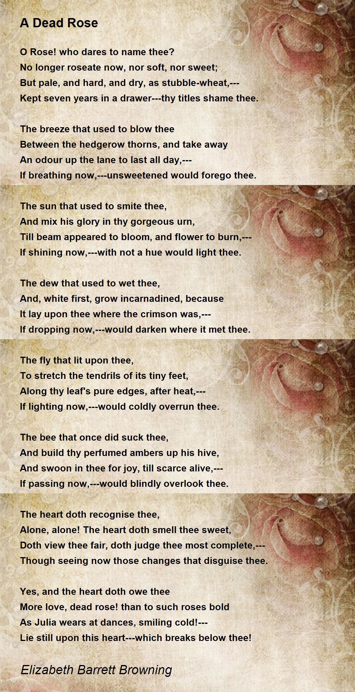 A Dead Rose Poem by Elizabeth Barrett Browning Poem Hunter