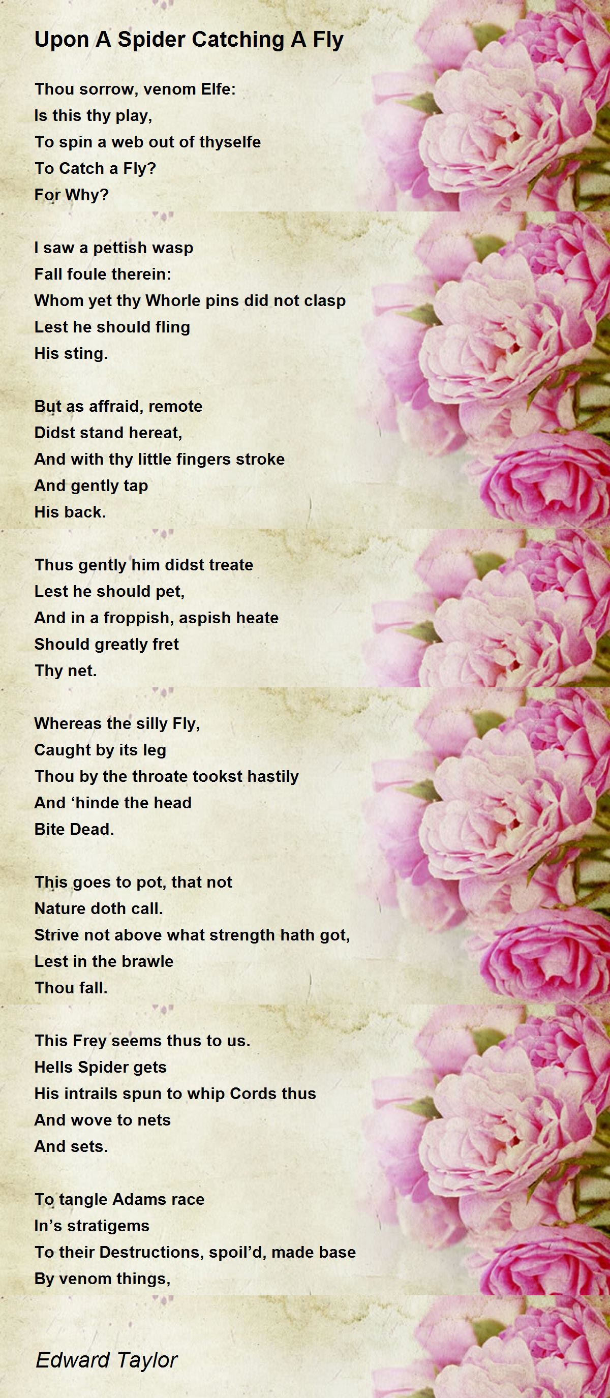 Upon A Spider Catching A Fly Poem By Edward Taylor Poem Hunter