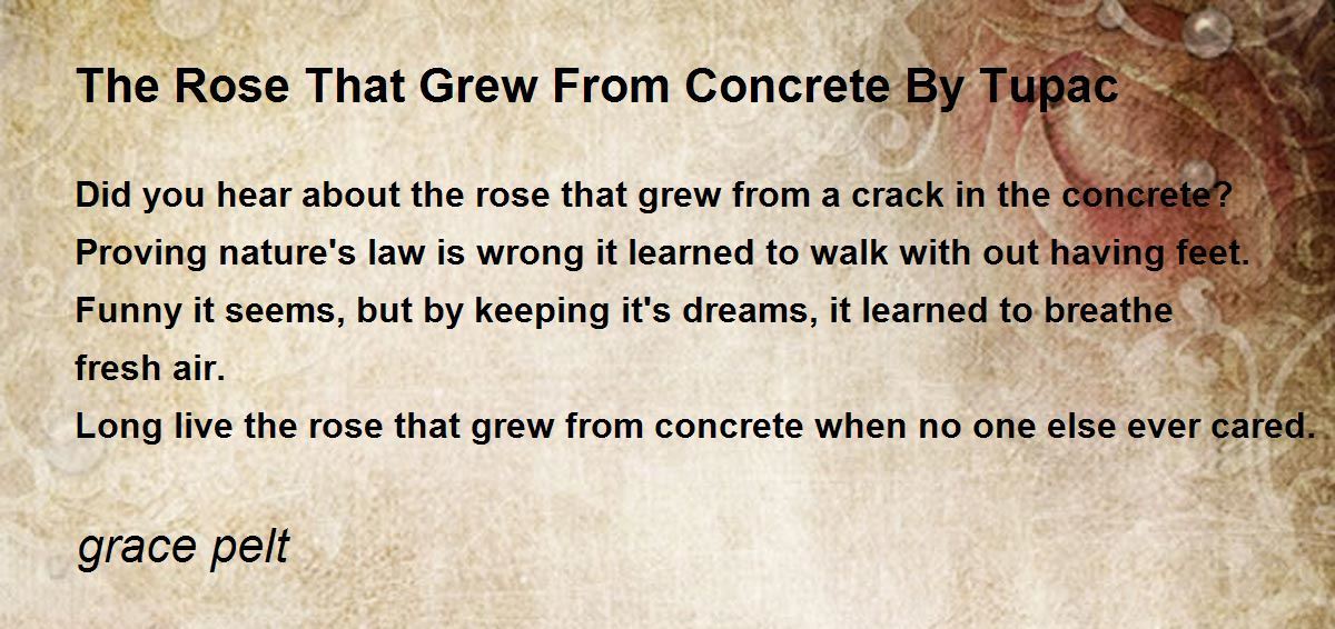 The Rose That Grew From Concrete By Tupac Poem by grace pelt - Poem