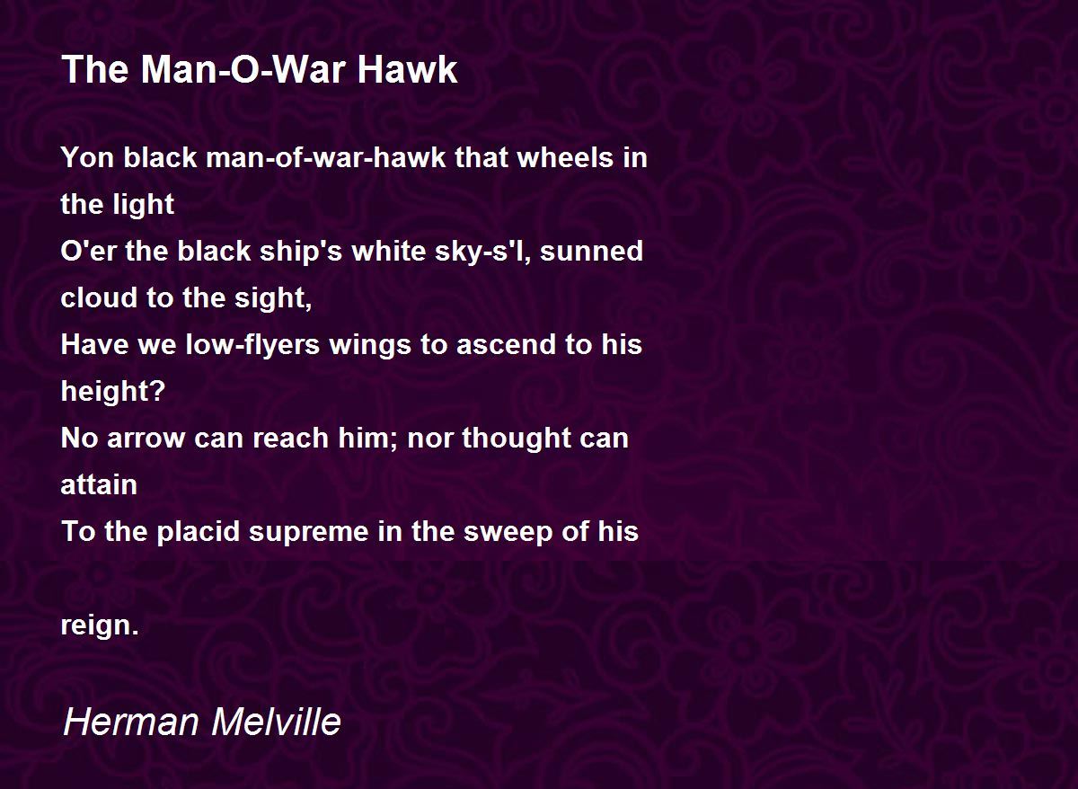 The ManOWar Hawk Poem by Herman Melville Poem Hunter