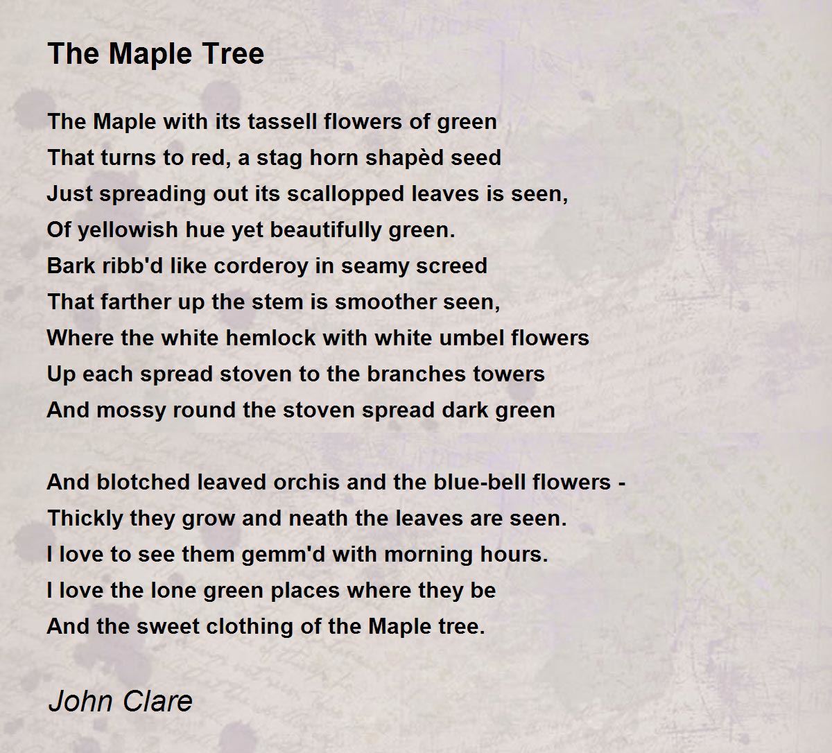 The Maple Tree Poem by John Clare Poem Hunter