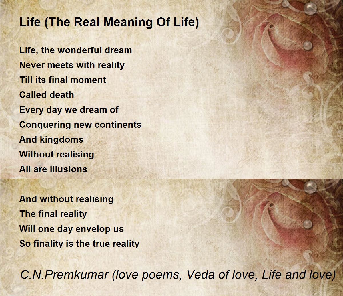 life-the-real-meaning-of-life.jpg