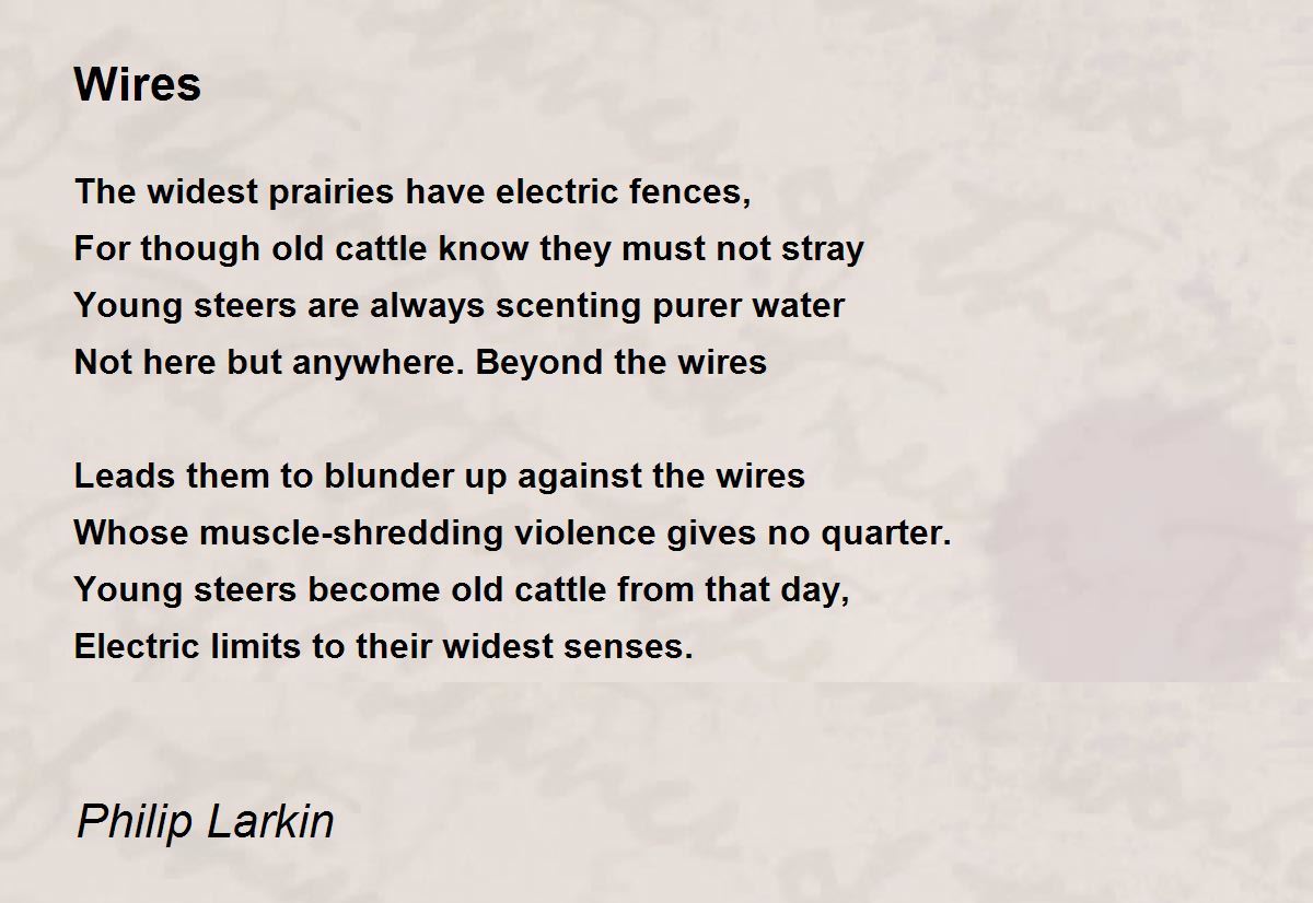 Wires Poem by Philip Larkin - Poem Hunter
