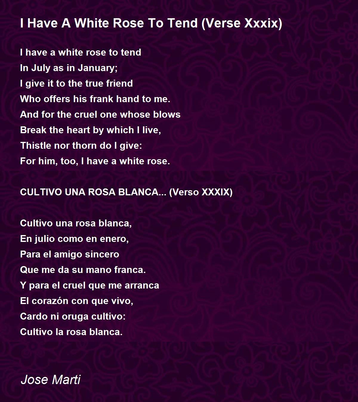 I Have A White Rose To Tend (Verse Xxxix) Poem by Jose Marti Poem Hunter