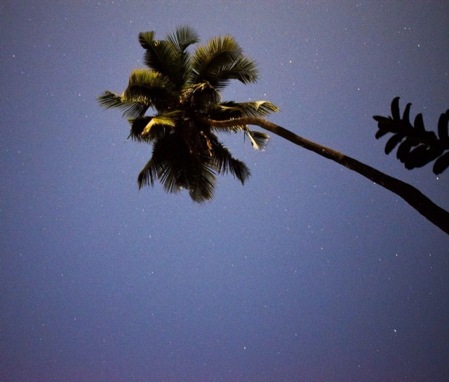 'Evenings Do Come.'