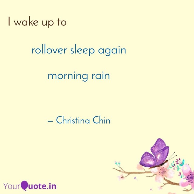 Haiku Morning Rain