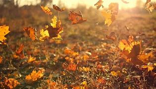 My Autumn Time