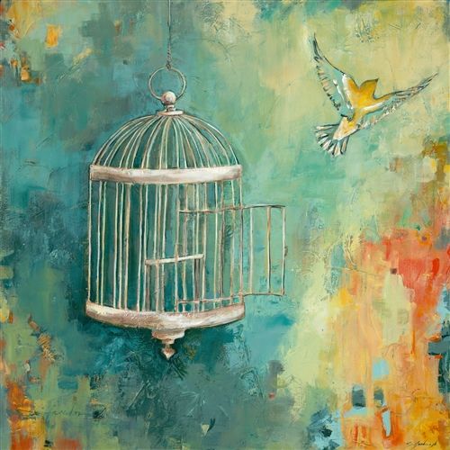 When The Caged Bird Is Set Free