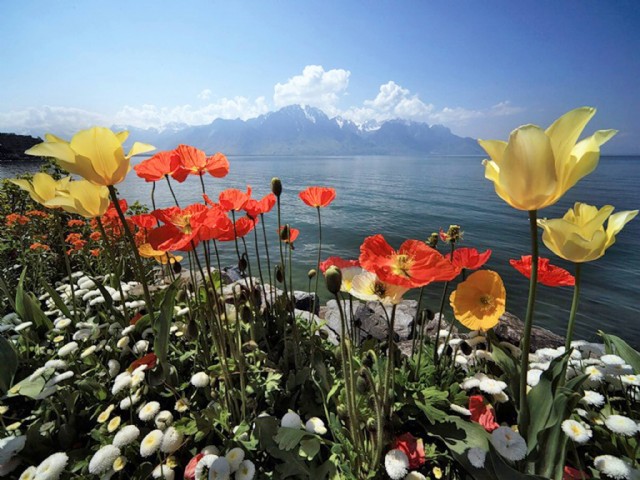 A Logic Of Life To Fulfilment!