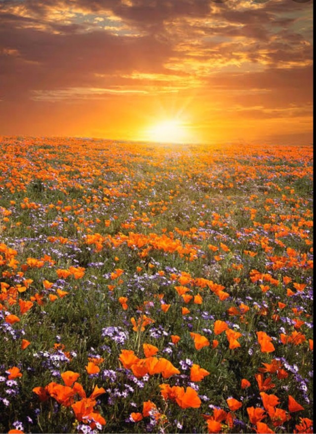 Vedic Prayer 15 - God Resides In All Beings