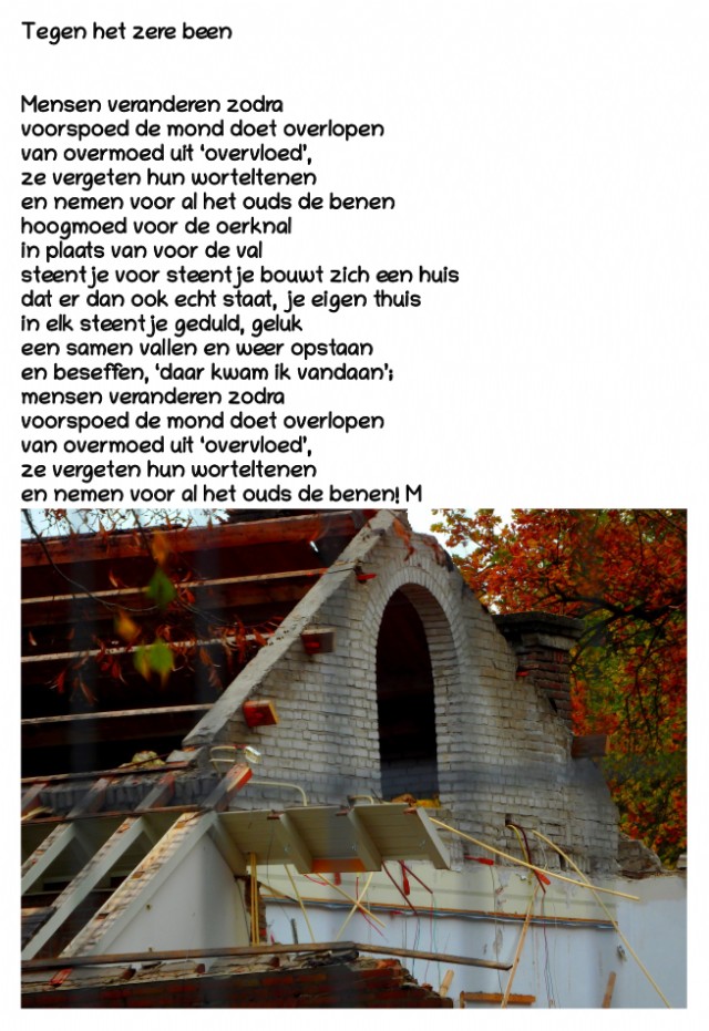 Tegen Het Zere Been