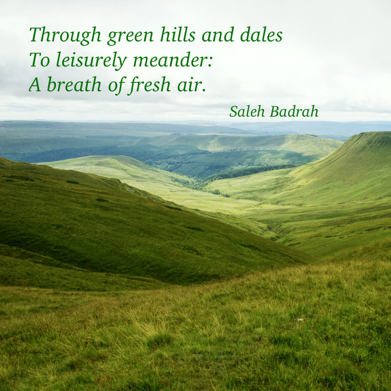 A Breath Of Fresh Air