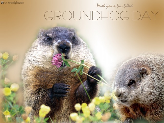 Groundhog Day Haiku