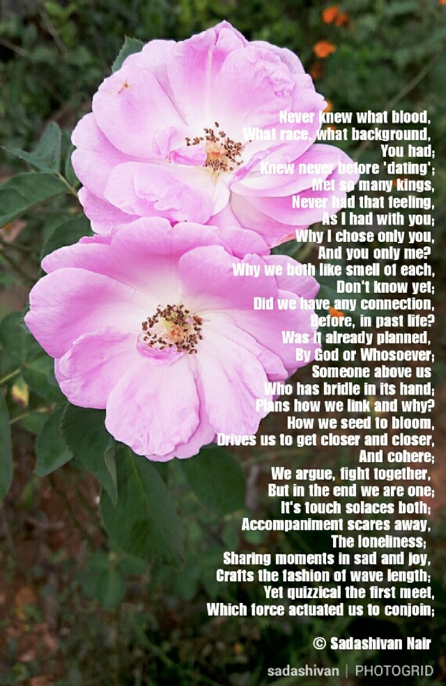 Someone Above Us Has Bridle In Its Hand