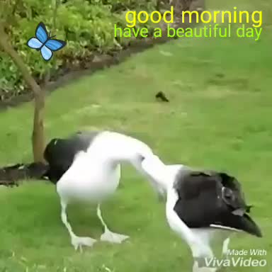 हमारी मौजूदगी... Hamari