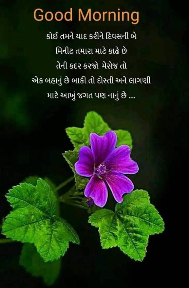 હેત ના છોડ.. Het