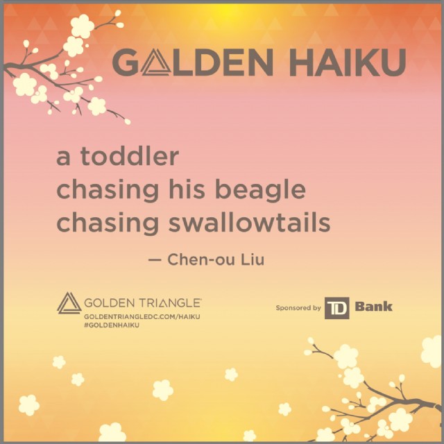 Beagle And Swallowtails Haiku