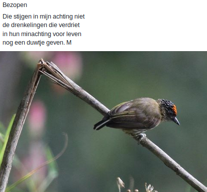 Bezopen