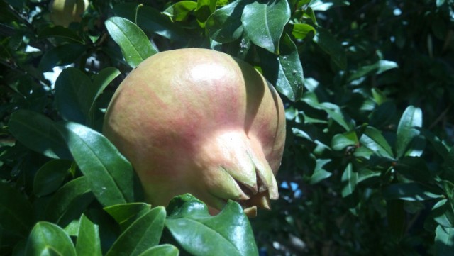 Σε Δυο Λεπτά;