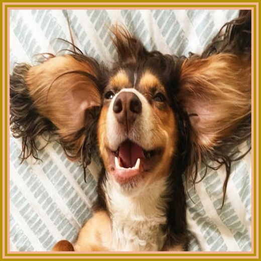 Happiness In Nature Takes Time