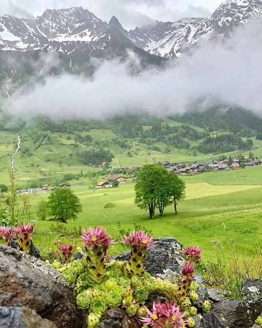 Get Spiritual Peace To Get Happiness At The End!