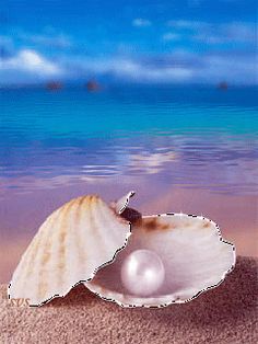 Pearl And Cockle