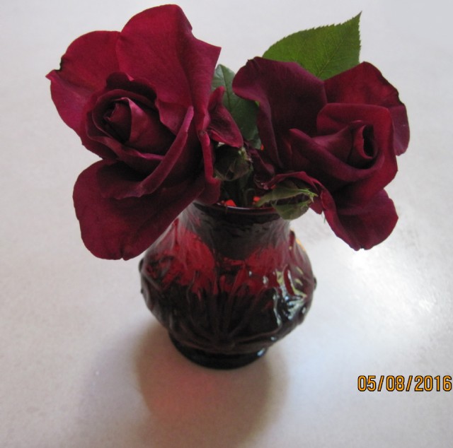 My Red, Red Roses