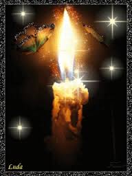 A Butterfly Never Dies