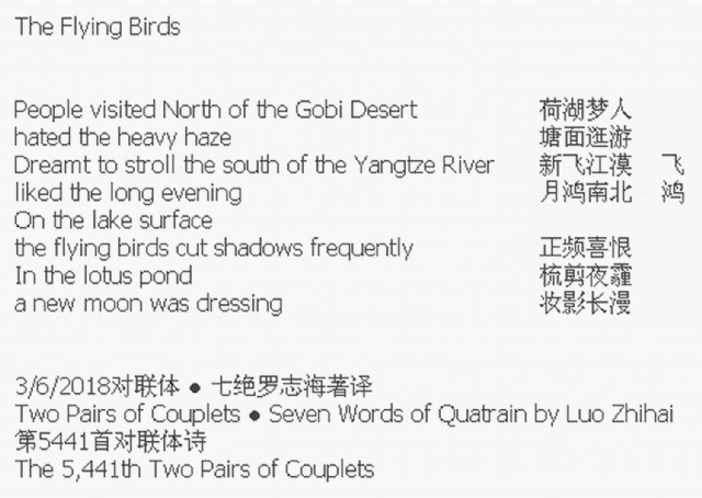 The Flying Birds
