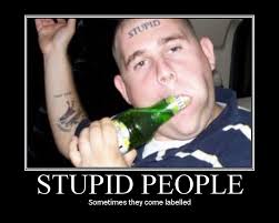 Institutions Of Higher Learning In America