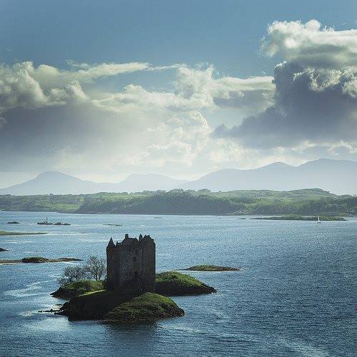 A Dog In The Manger!