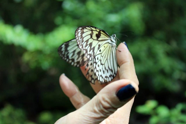 Ode To A Lifetime Contractor