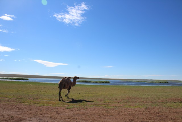 Three Poems Of Hadaa Sendoo