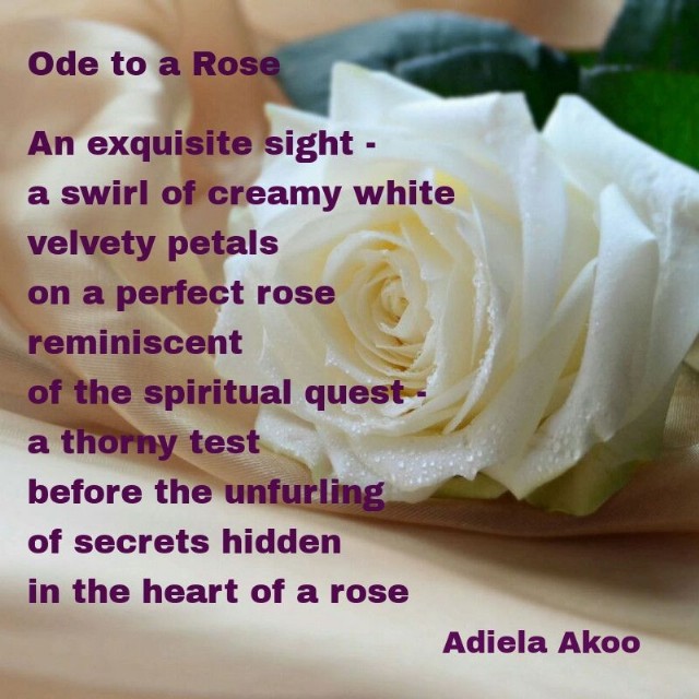Ode To A Rose