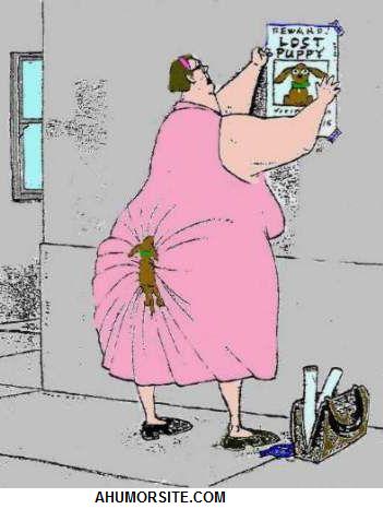 Missing Puppy Version 2