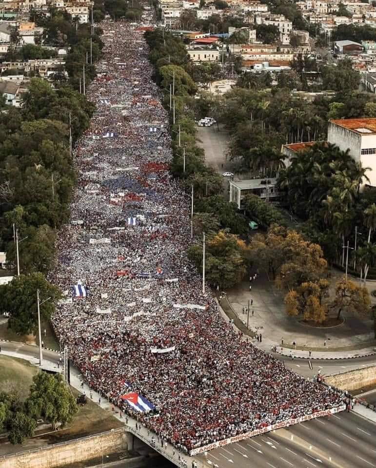 Cubans Of All Colours