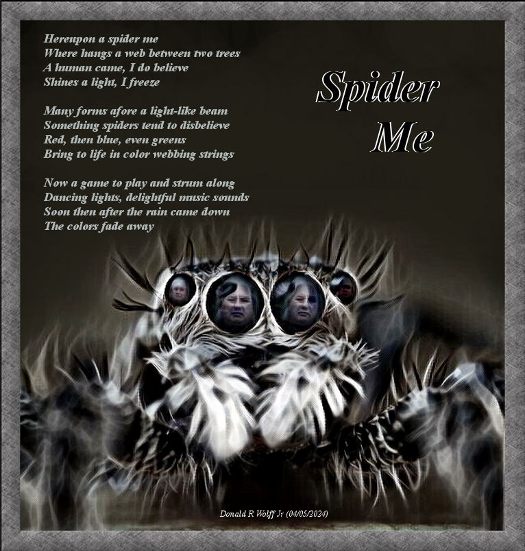 Spider Me