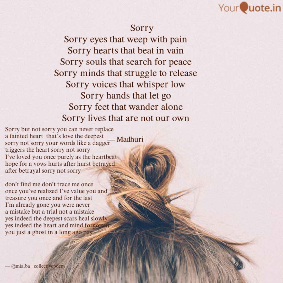 Sorry Not Sorry