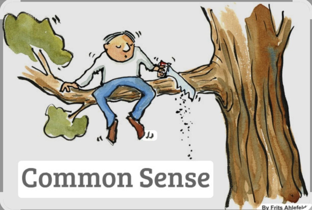 Lack Of Common Sense