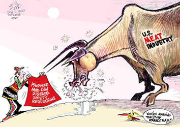 Handicapped German Shepherd