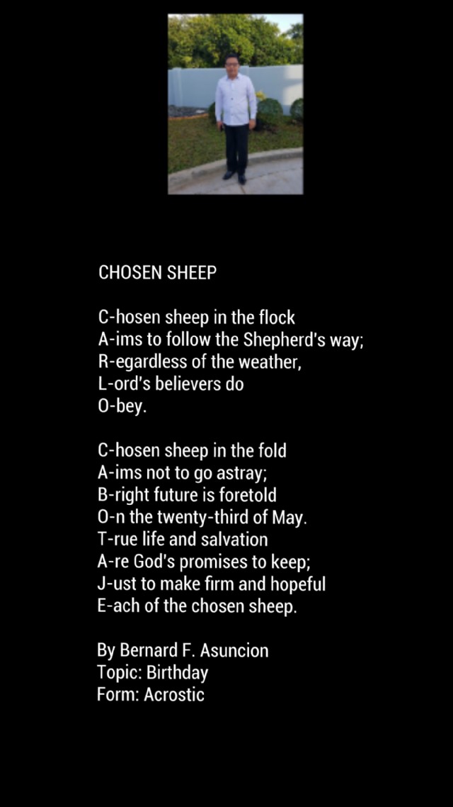 Chosen Sheep