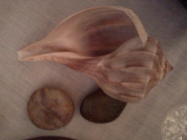 My Walk Tonight     By Gio Masserati