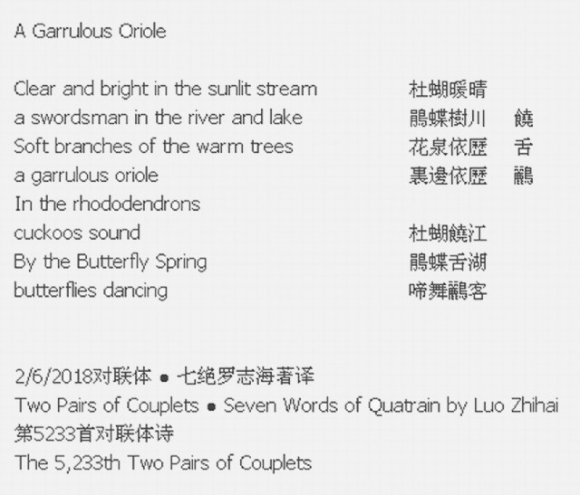 A Garrulous Oriole