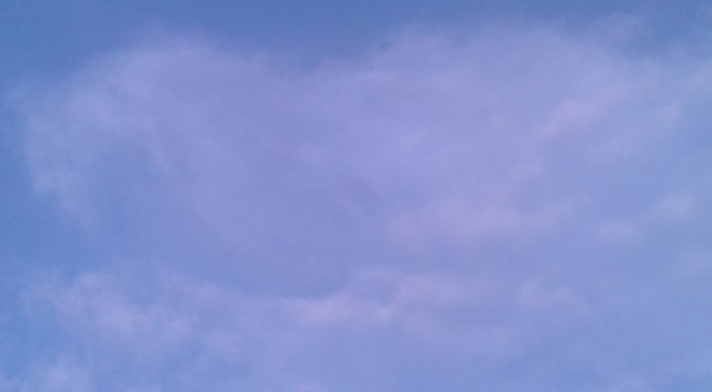 ବଛର ଛିଡସି Year Ends