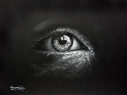 The Eye