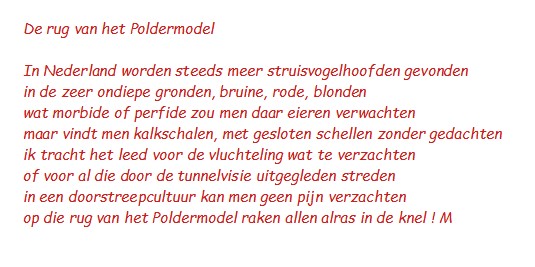 De Rug Van Het Poldermodel